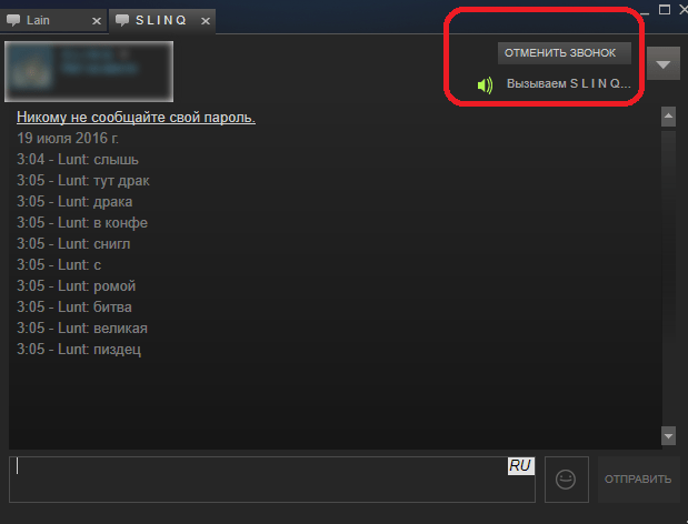 Звонок пользователю Steam