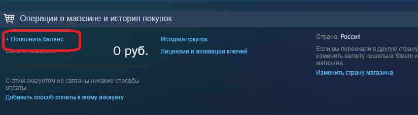 Страница с информацией об аккаунте в Steam