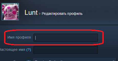 Пустой ник в Steam