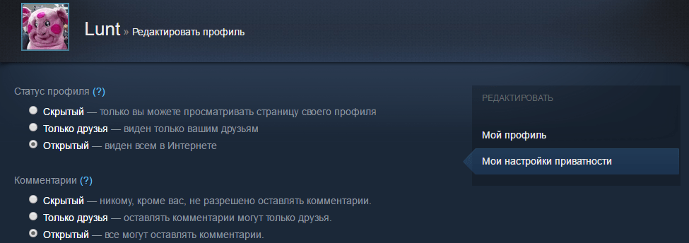 Изменение настроек приватности профиля Steam