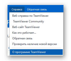 Пункт о программе TeamViewer