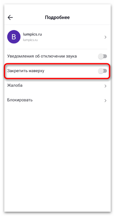 Параметр для закрепления переписки для включения личных сообщений в мобильном приложении TikTok