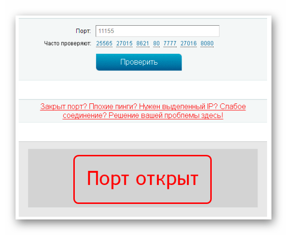 Открытый порт на 2ip