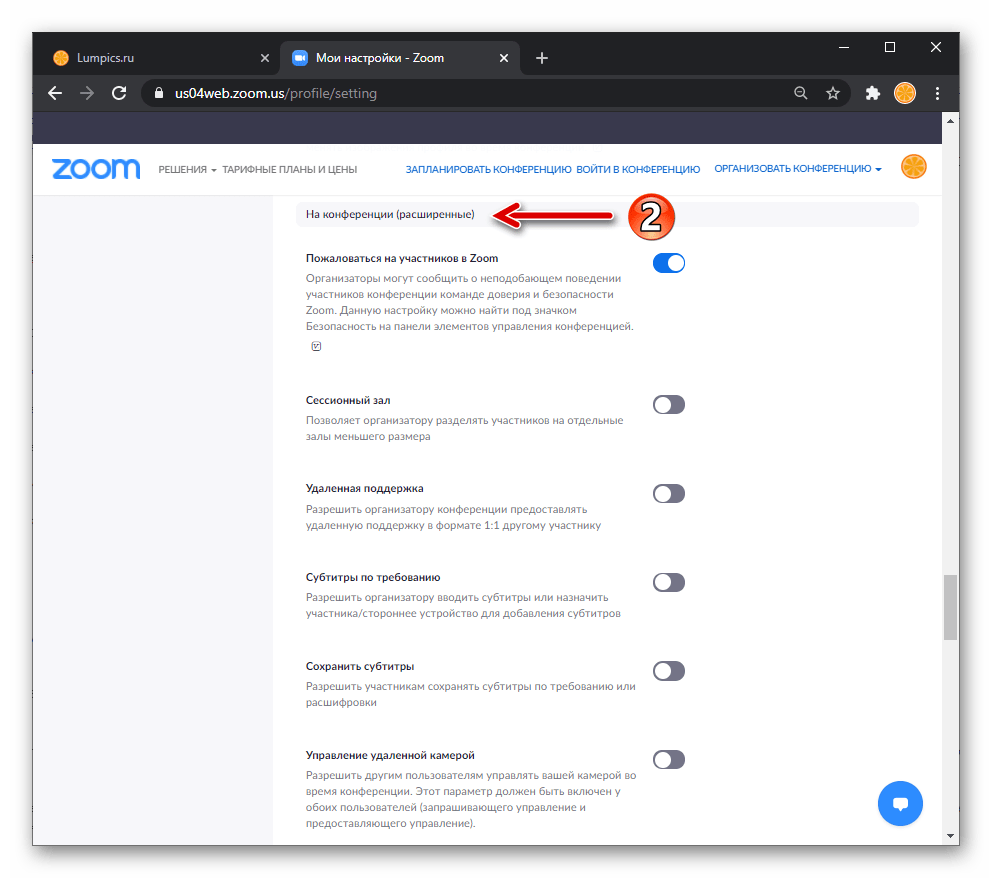 Zoom перечень параметров На конференции (расширенные) в Настройках профиля пользователя на сайте сервиса