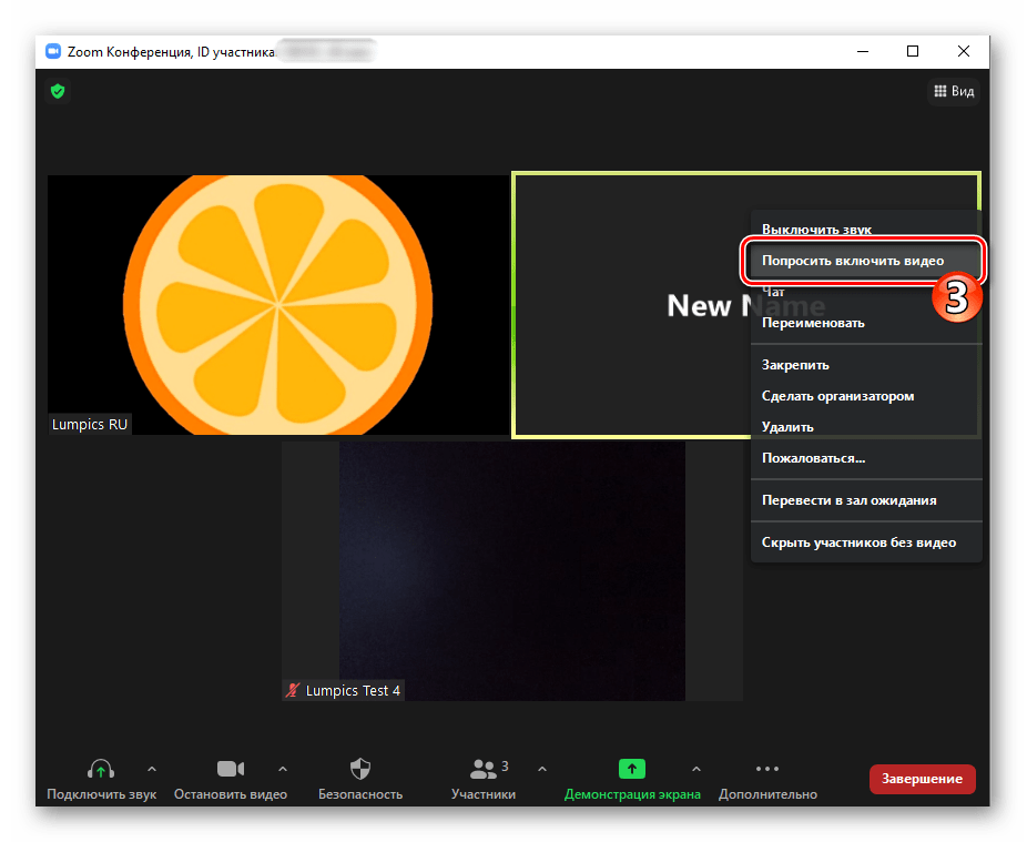Zoom для Windows Пункт Попросить включить видео в контекстном меню области окна с данными участника конференции