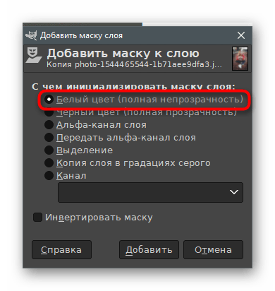 Выбор параметров для слоя-маски для размытия заднего фона на фото в GIMP