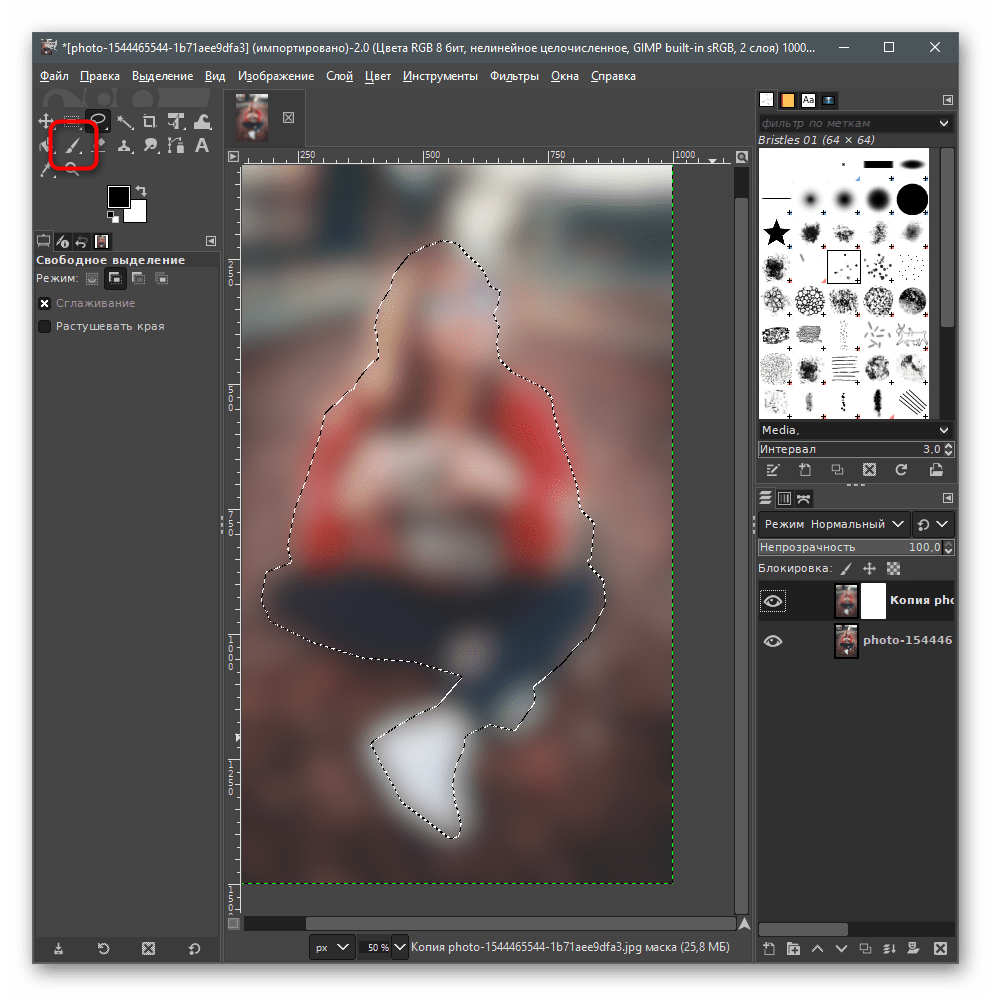 Выбор инструмента Кисть для размытия заднего фона на фото в GIMP