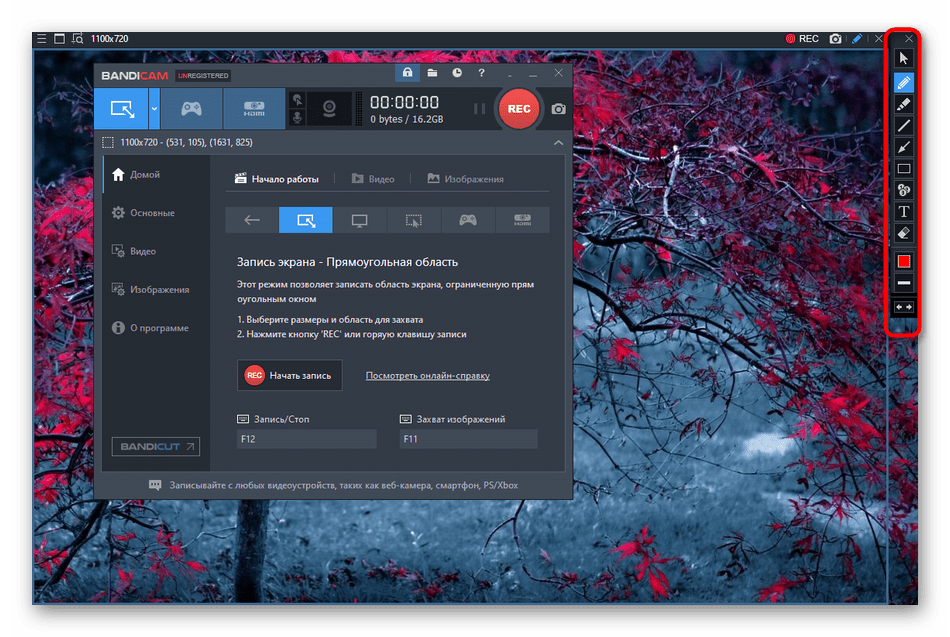 Инструменты при проведении захвата для настройки демонстрации экрана через Bandicam