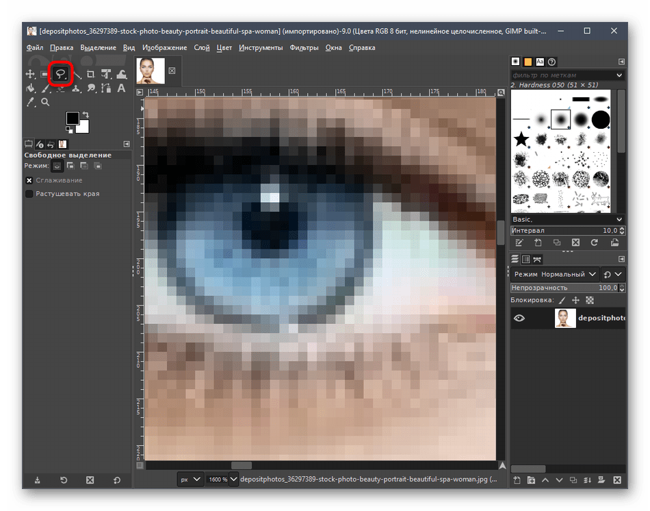 Выбор инструмента Свободное выделение для обвода глаза через программу GIMP