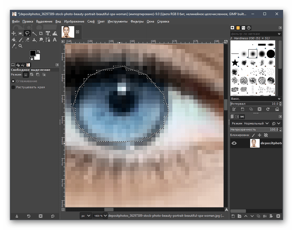 Обводка глаза при помощи Свободное выделение в программе GIMP