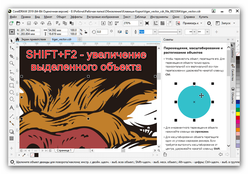 Увеличение выделенного объекта горячими клавишами Corel DRAW