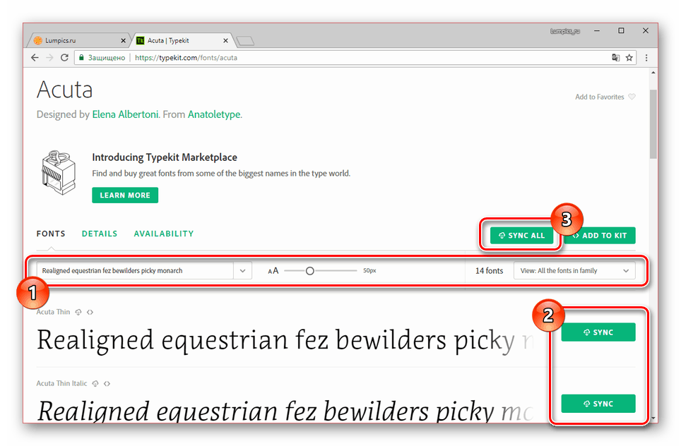 Процесс синхронизации шрифта на сайте Typekit