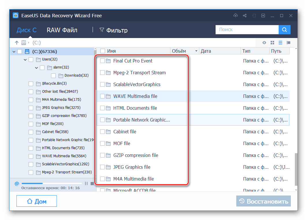 Файлы в папках, отсортированные по типу, в программе EaseUS Data Recovery Wizard