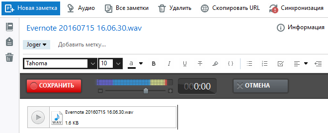 аудио в Evernote