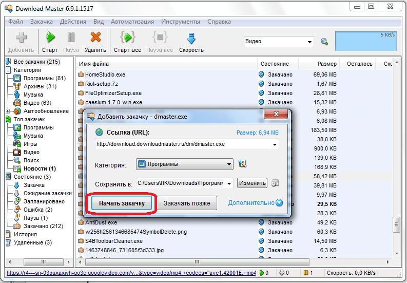 Старт закачки в программе Download Master