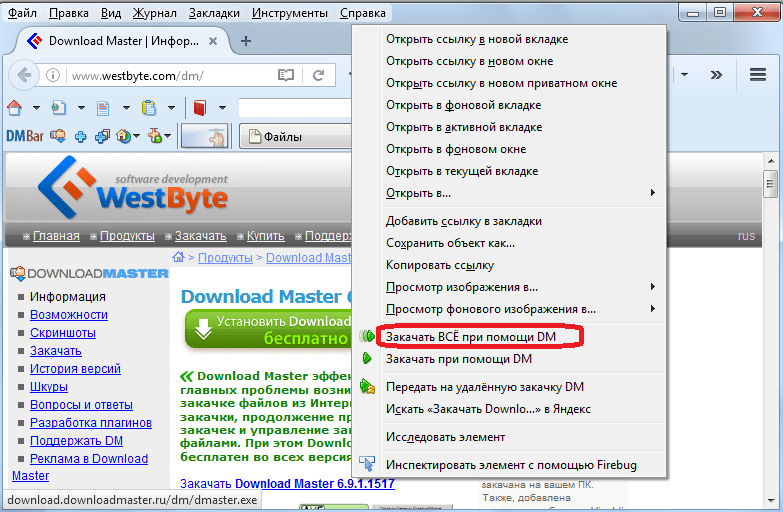 Закачать все через контекстное меню браузера в программе Download Master