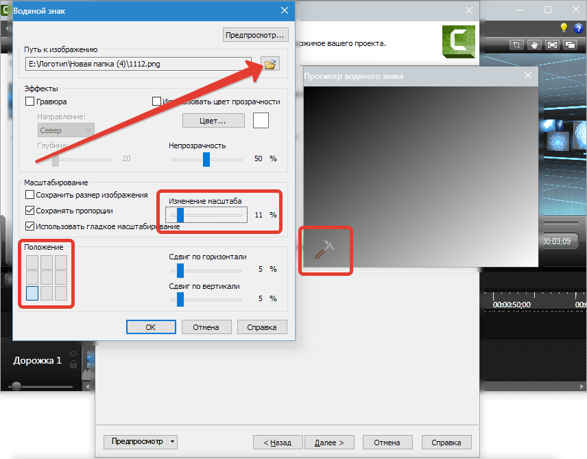 Настройки логотипа Camtasia Studio 8 (2)