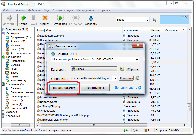 Старт закачки видео в программе Download Master