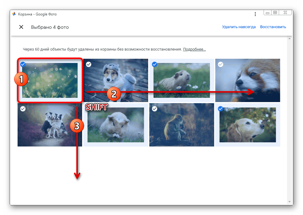 Множественное выделение изображений в корзине на сайте сервиса Google Фото