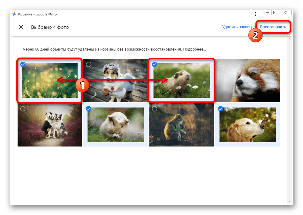 Процесс выделения изображений в корзине на сайте сервиса Google Фото