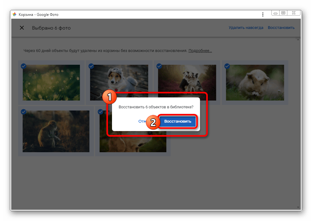Восстановление изображений из корзины на сайте сервиса Google Фото
