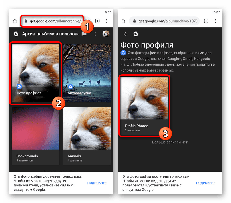 Переход к папке Фото профиля в Архиве альбомов Google на телефоне