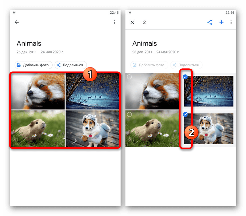 Процесс выделения фотографий в приложении Google Фото
