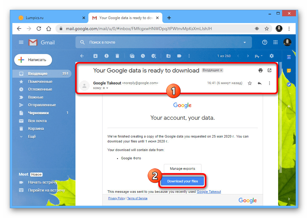 Ссылка на скачивание архива с изображениями на почте GMAIL