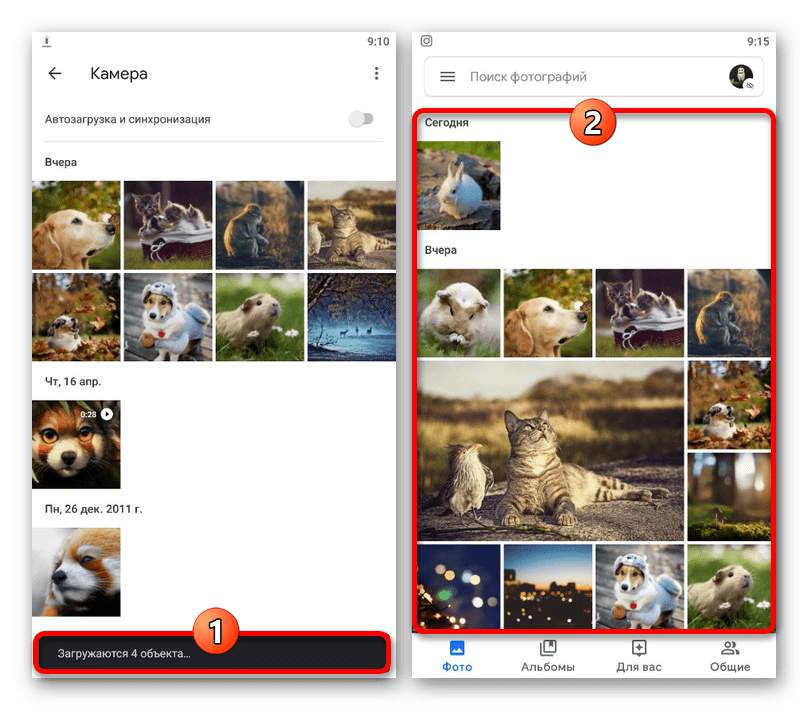 Успешная загрузка изображений в приложении Google Фото