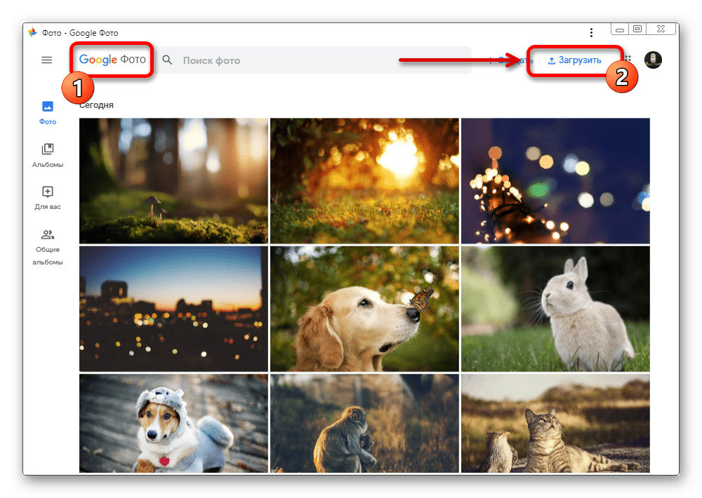 Открытие меню Загрузить на веб-сайте Google Фото