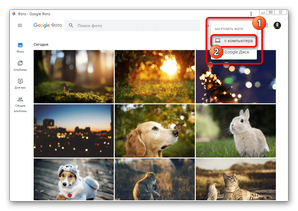 Переход к загрузке с компьютера на веб-сайте Google Фото