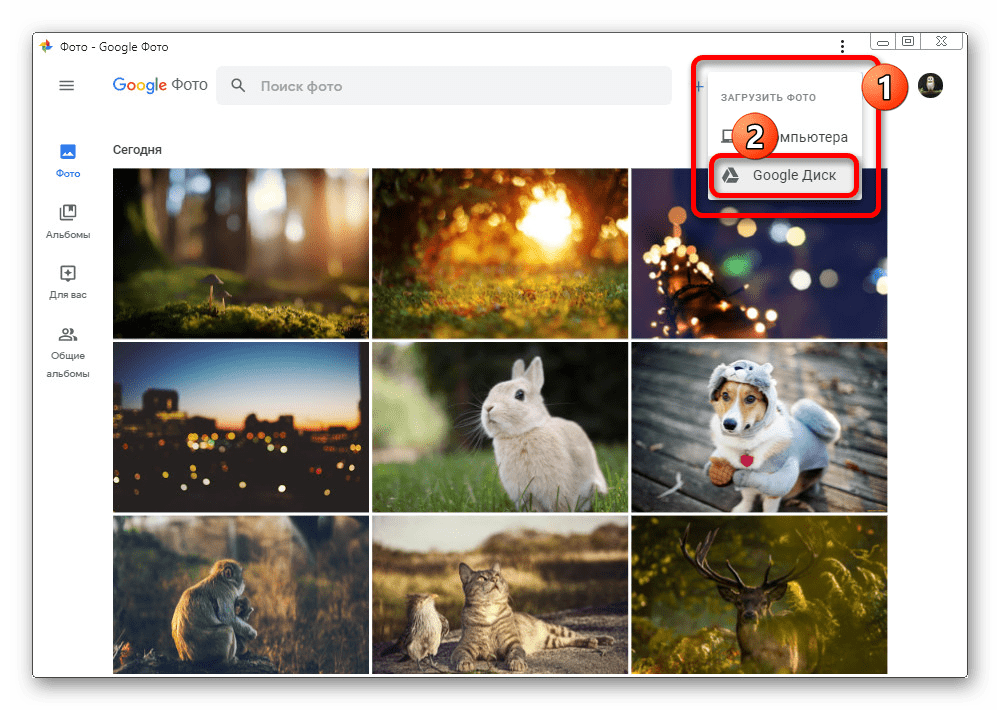 Переход к загрузке из Google Диска на сайте Google Фото