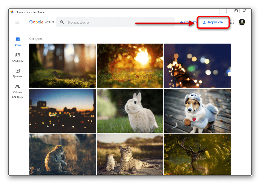 Переход к меню загрузки на веб-сайте Google Фото