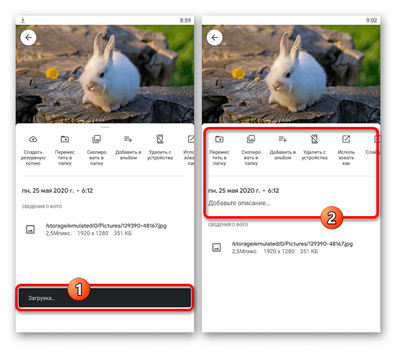 Успешная загрузка изображения с телефона в приложении Google Фото