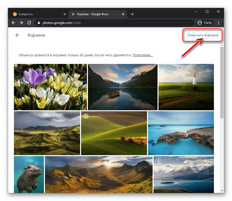 Веб-версия Google Фото очистка корзины в сервисе