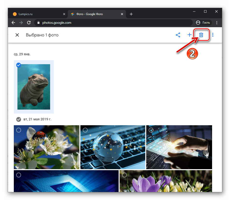 Веб-версия Google Фото удаление изображения на котором установлена отметка