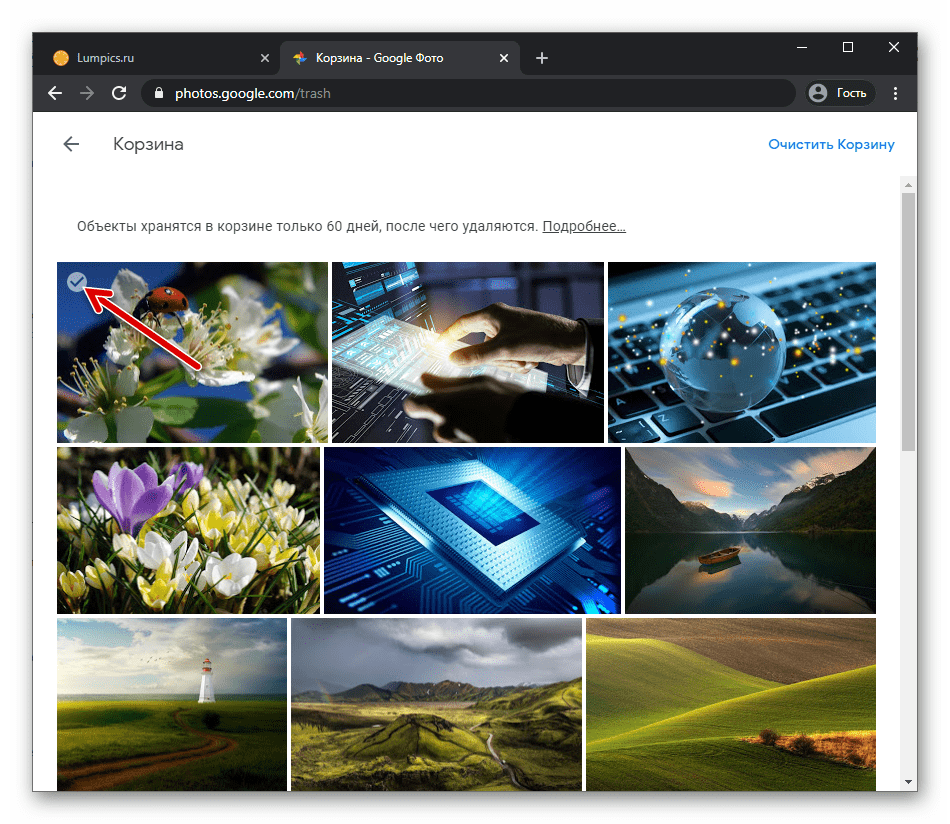 Веб-версия Google Фото выбор объектов в корзине для окончательного удаления