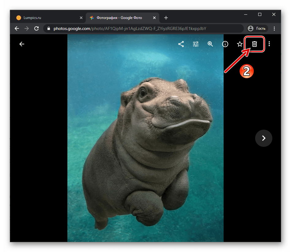 Веб-версия Google Фото удаления снимка из режима полноразмерного просмотра