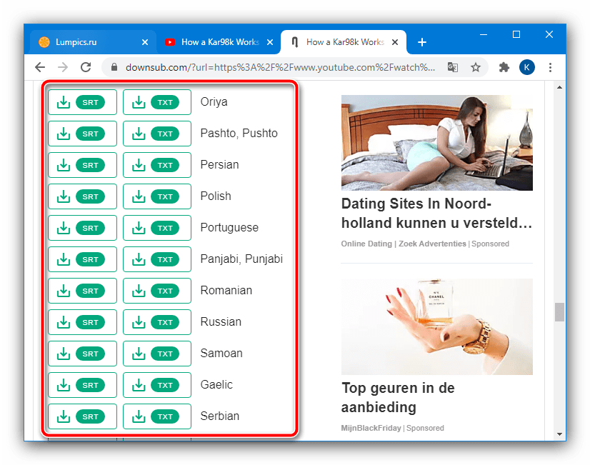 Загрузить переведённые субтитры для загрузки субтитров с YouTube посредством веб-сервиса
