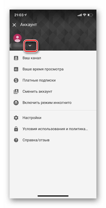 Нажатие на стрелку в приложении Ютуб iOS