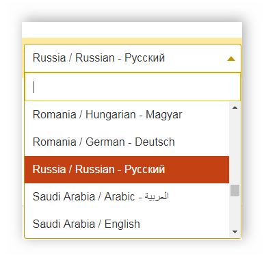 Выбор страны и языка в KeyWord Tool