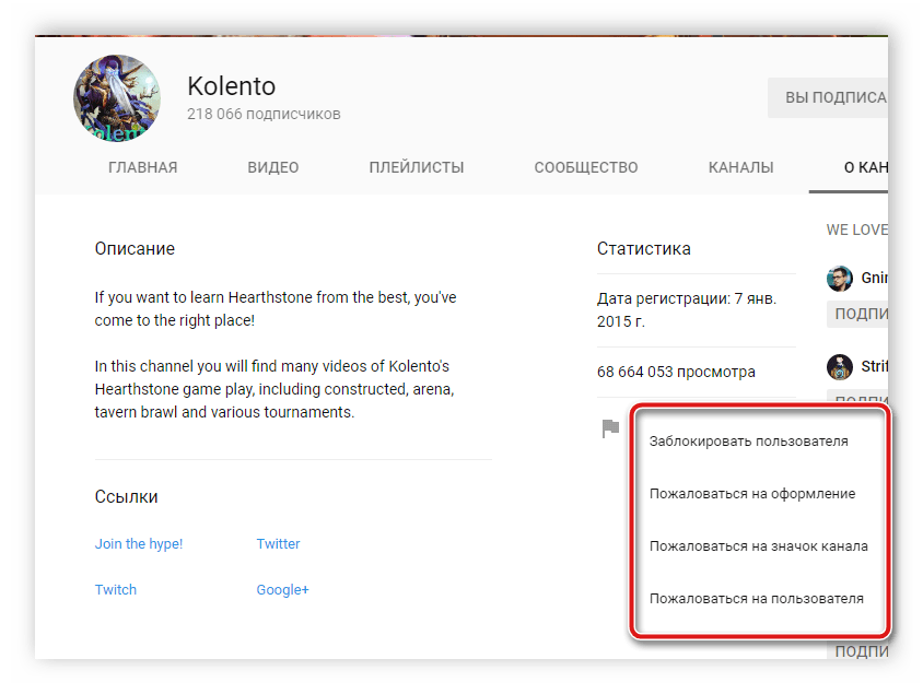 Выбрать вид жалобы на пользователя YouTube