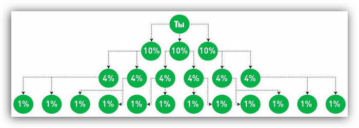 схема реферальной программы в медиасети