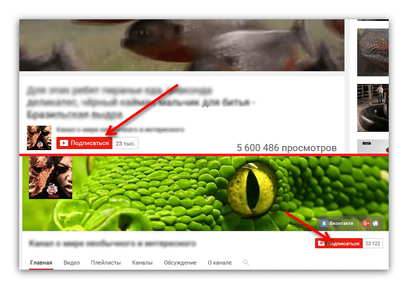 кнопка подписатьсяв ютубе