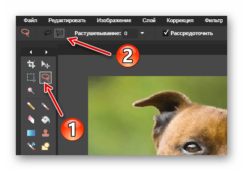Выбираем инструмент "Многоугольное лассо в Pixlr"