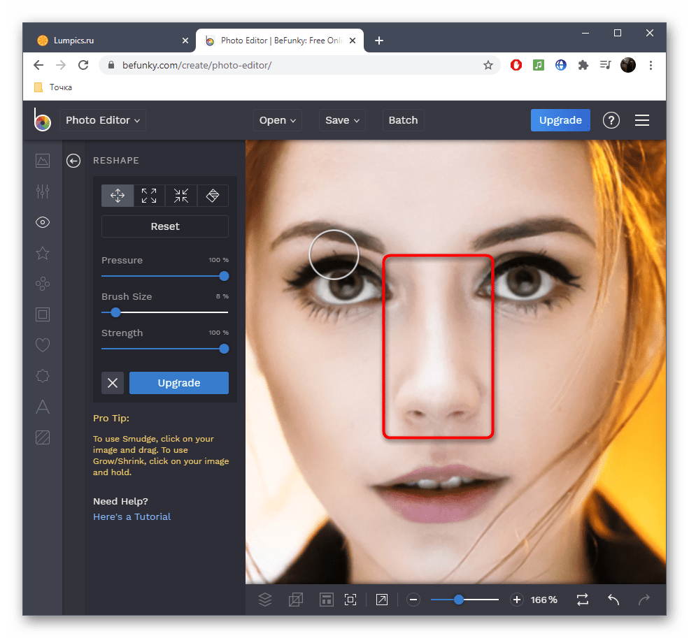 Результат уменьшения носа на фото в онлайн-сервисе BeFunky