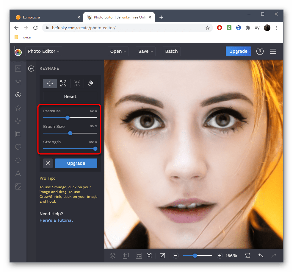 Настройка инструмента для уменьшения носа на фото в онлайн-сервисе BeFunky