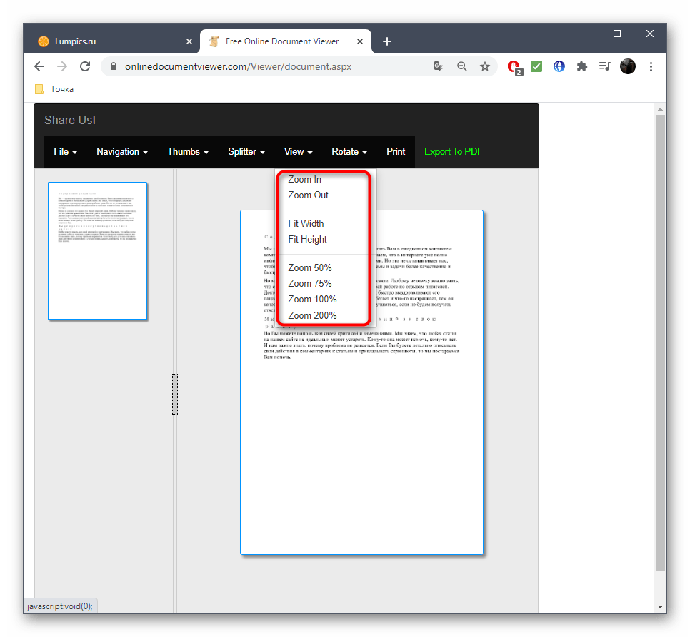 Использование масштабирования при просмотре RTF через онлайн-сервис Online Document Viewer