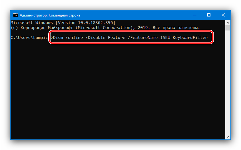 Ввод команды для отключения фильтрации ввода в Windows 10