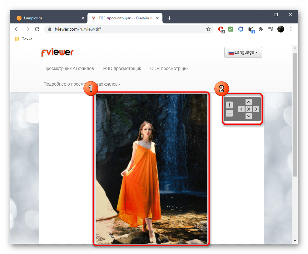 Инструменты масштабирования при просмотре изображения через онлайн-сервис Fviewer